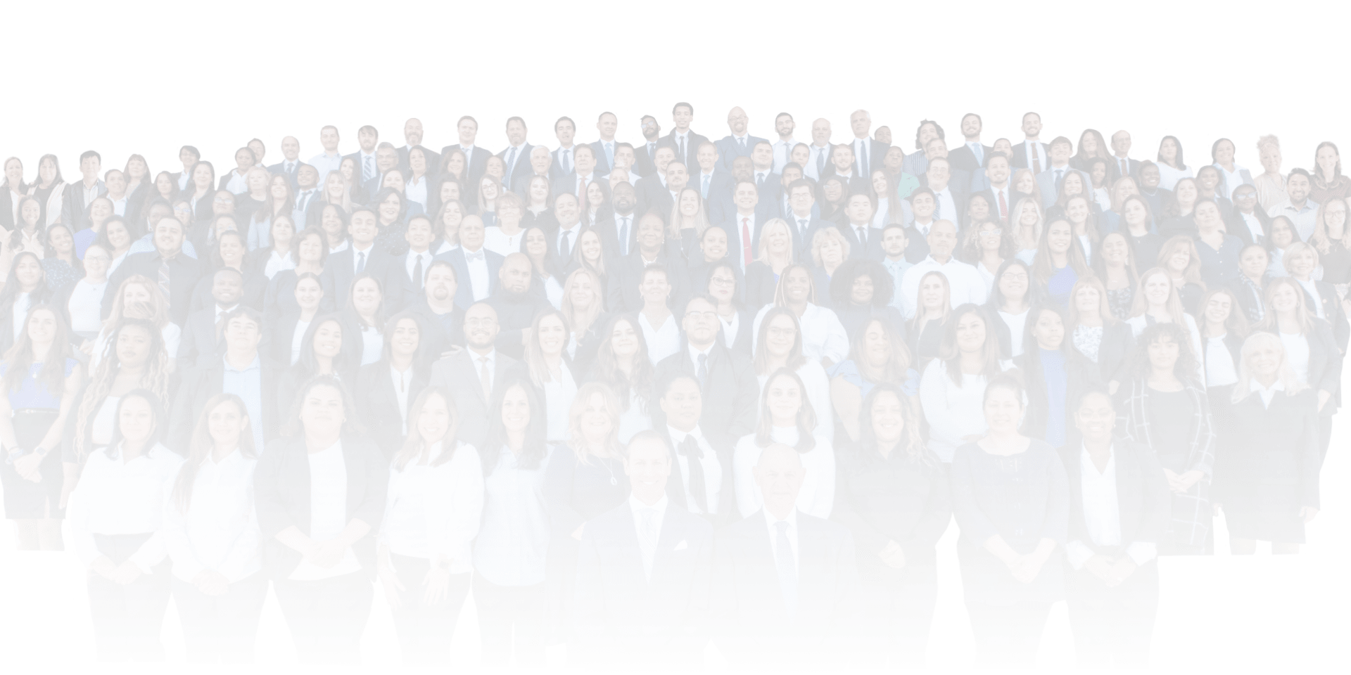 Team members