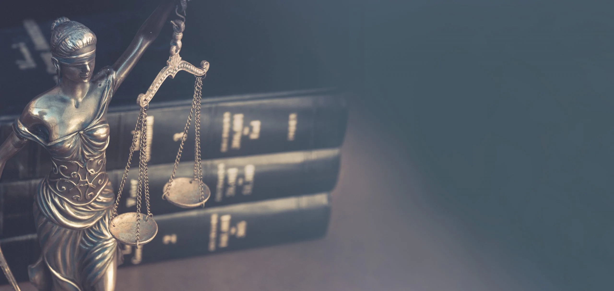 legal justice system practice area page